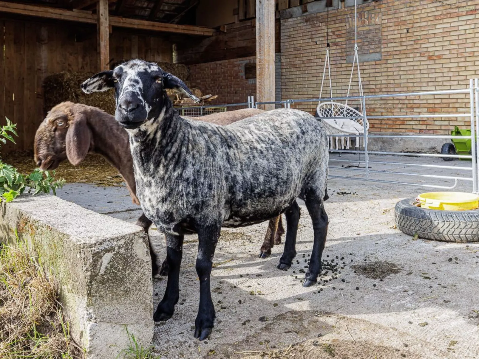 Uelis-Stoeckli - Buiten
