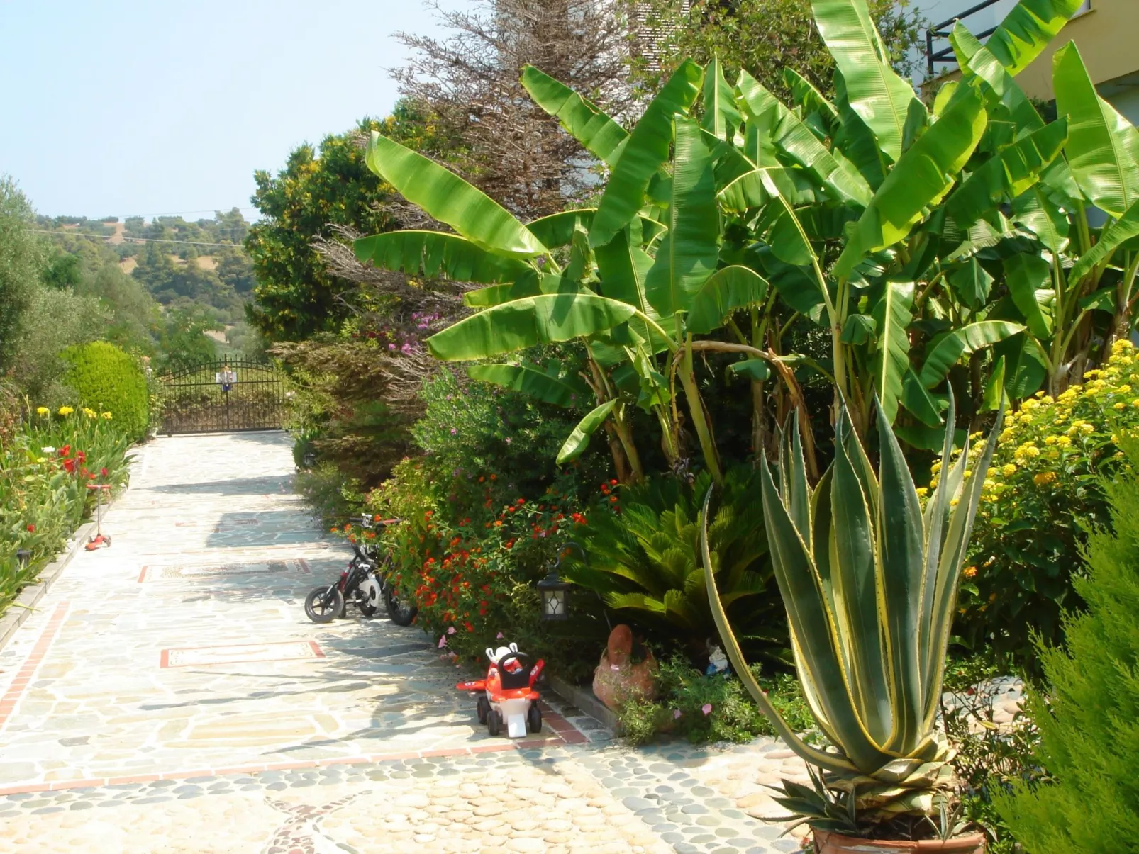 Aus dem Garten direkt an den Strand - Buiten