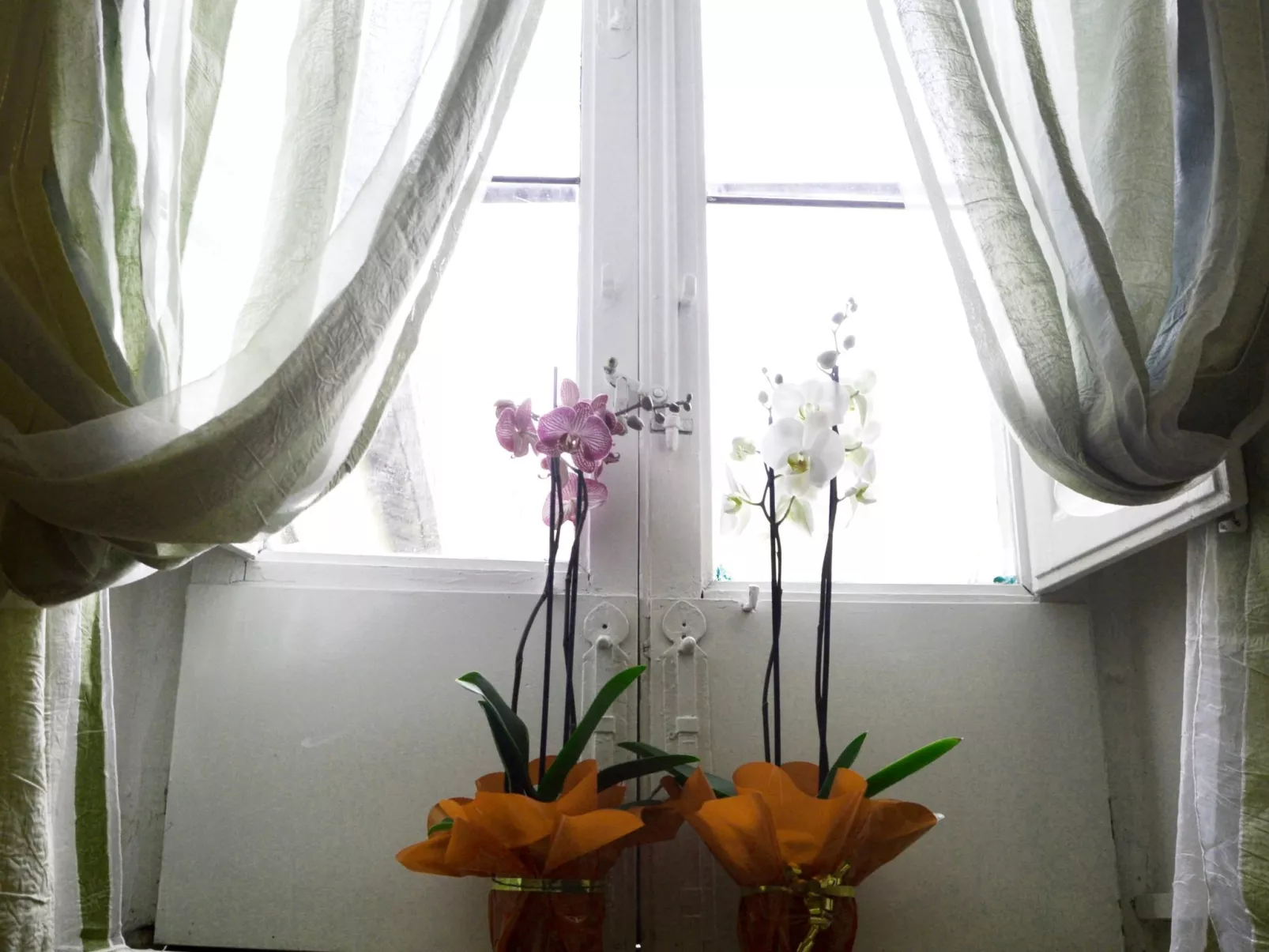 Gästezimmer für 1 Personen in Caltagirone, Sizilien (Provinz Catania) - Image-tags.info