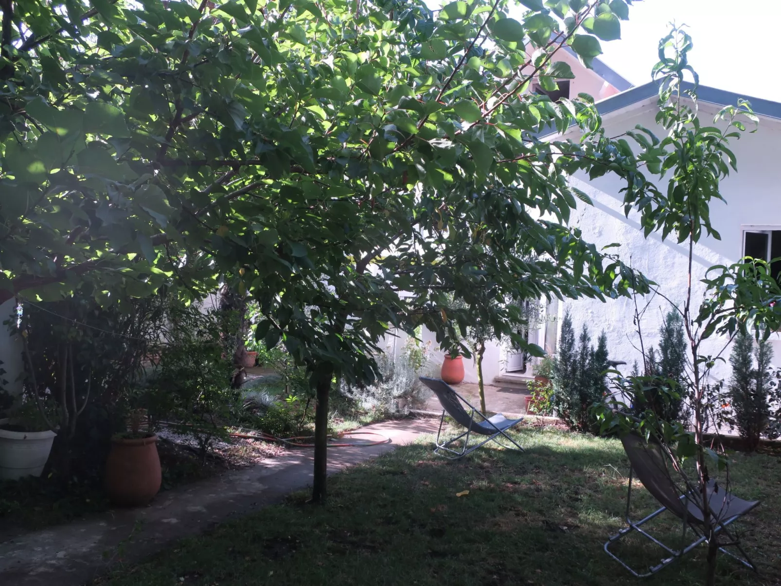 Ferienzimmer "Toulousaine arborée" (Toulouse mit Bäumen) - Buiten