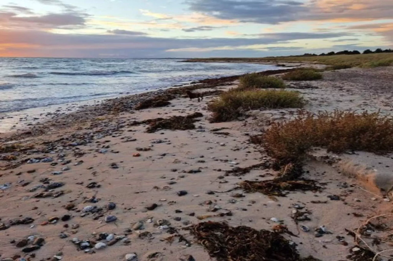5 Personen vakantie huis in Rødby - Buitenlucht