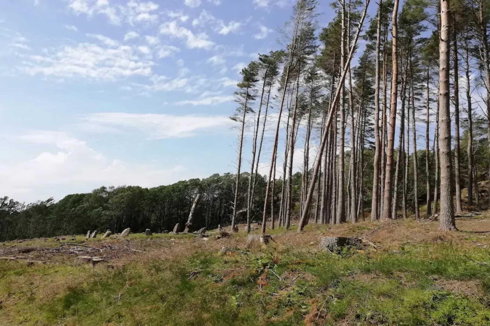 6 persoons vakantie huis in Fjällbacka - Niet-getagd