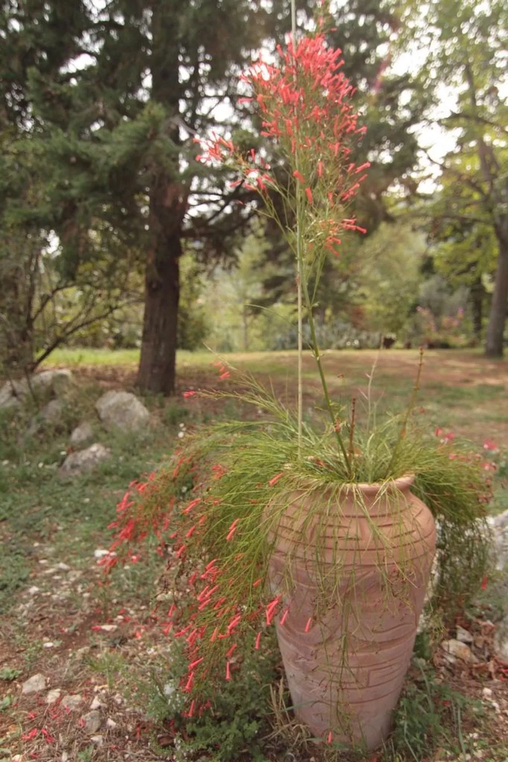 Modernes Ferienhaus in Drenje mit Privatem Garten - Binnen