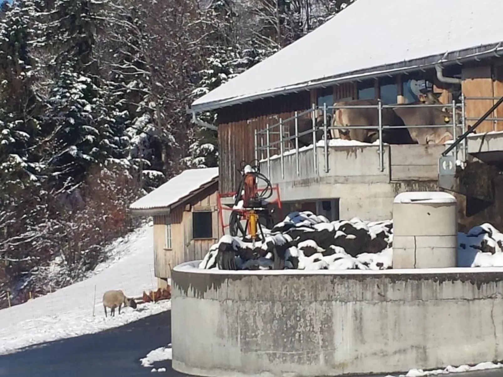 Hof Unterstein - Buiten