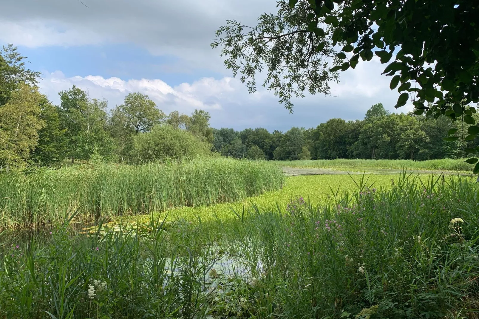 Lake view villa met zwem- vissteiger-Gebieden zomer 1km