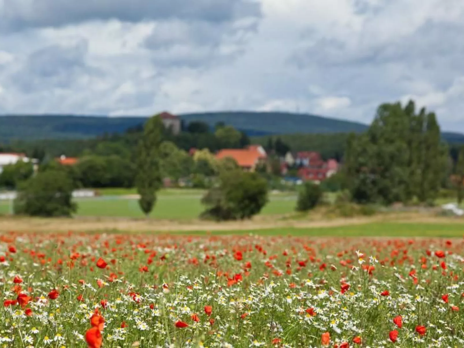Gästezimmer für 2 Personen - Buiten