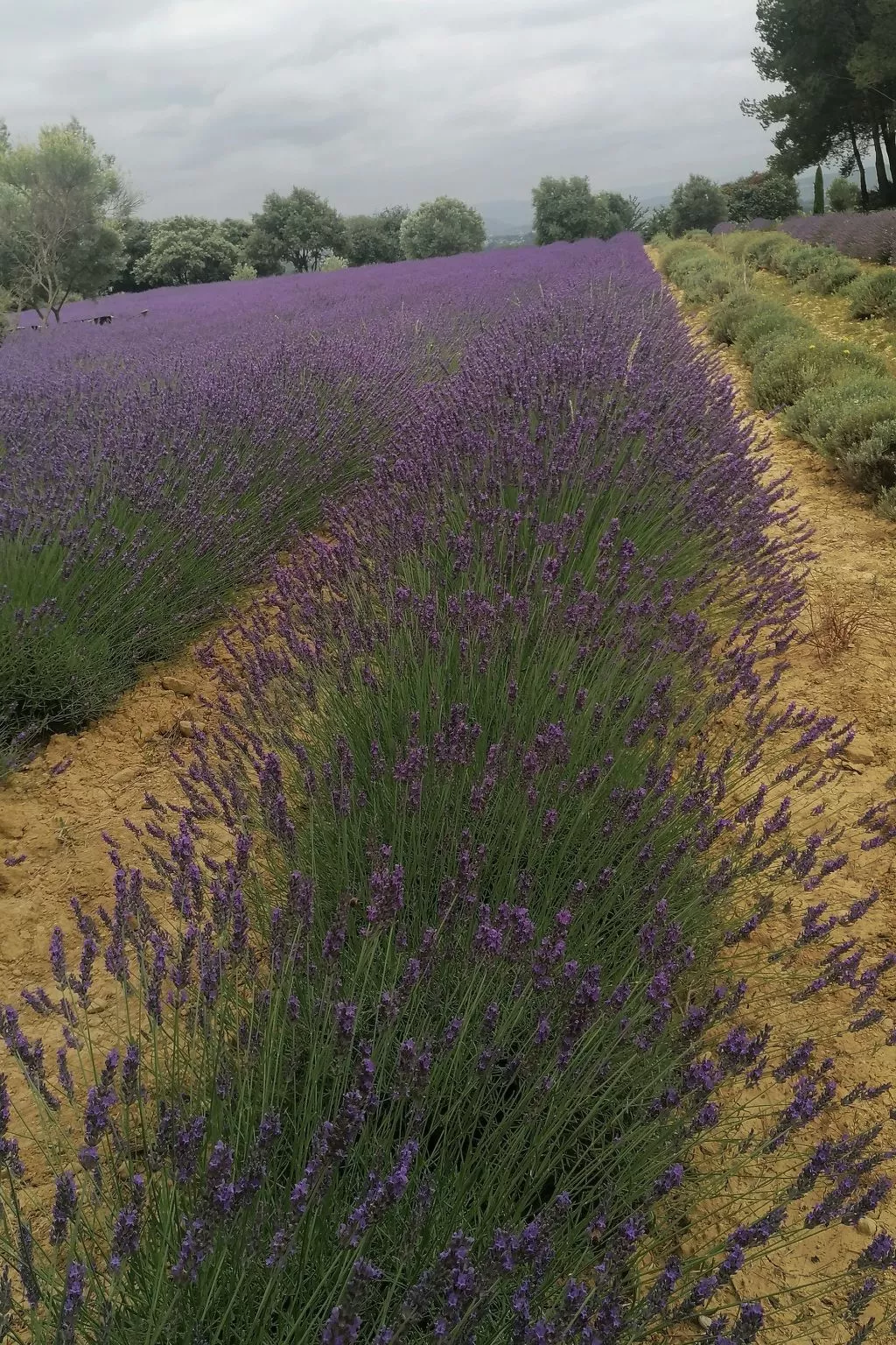 Maison Bleu - Buiten