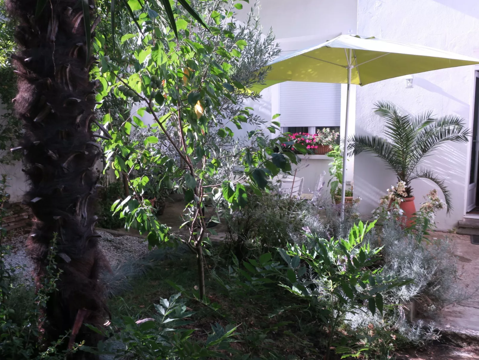 Ferienzimmer "Toulousaine arborée" (Toulouse mit Bäumen) - Buiten