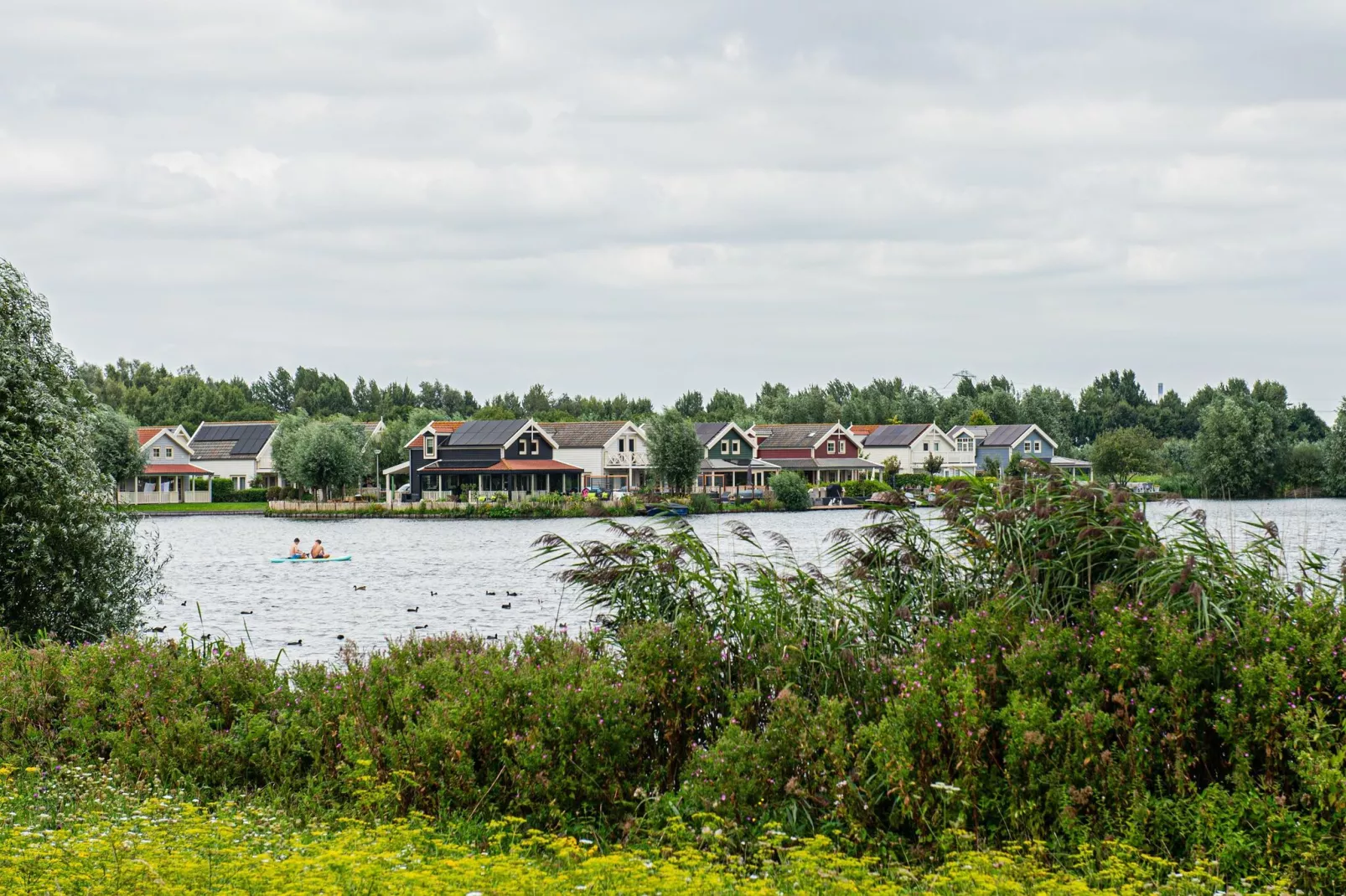 Rietzanger nr 134-Gebieden zomer 1km