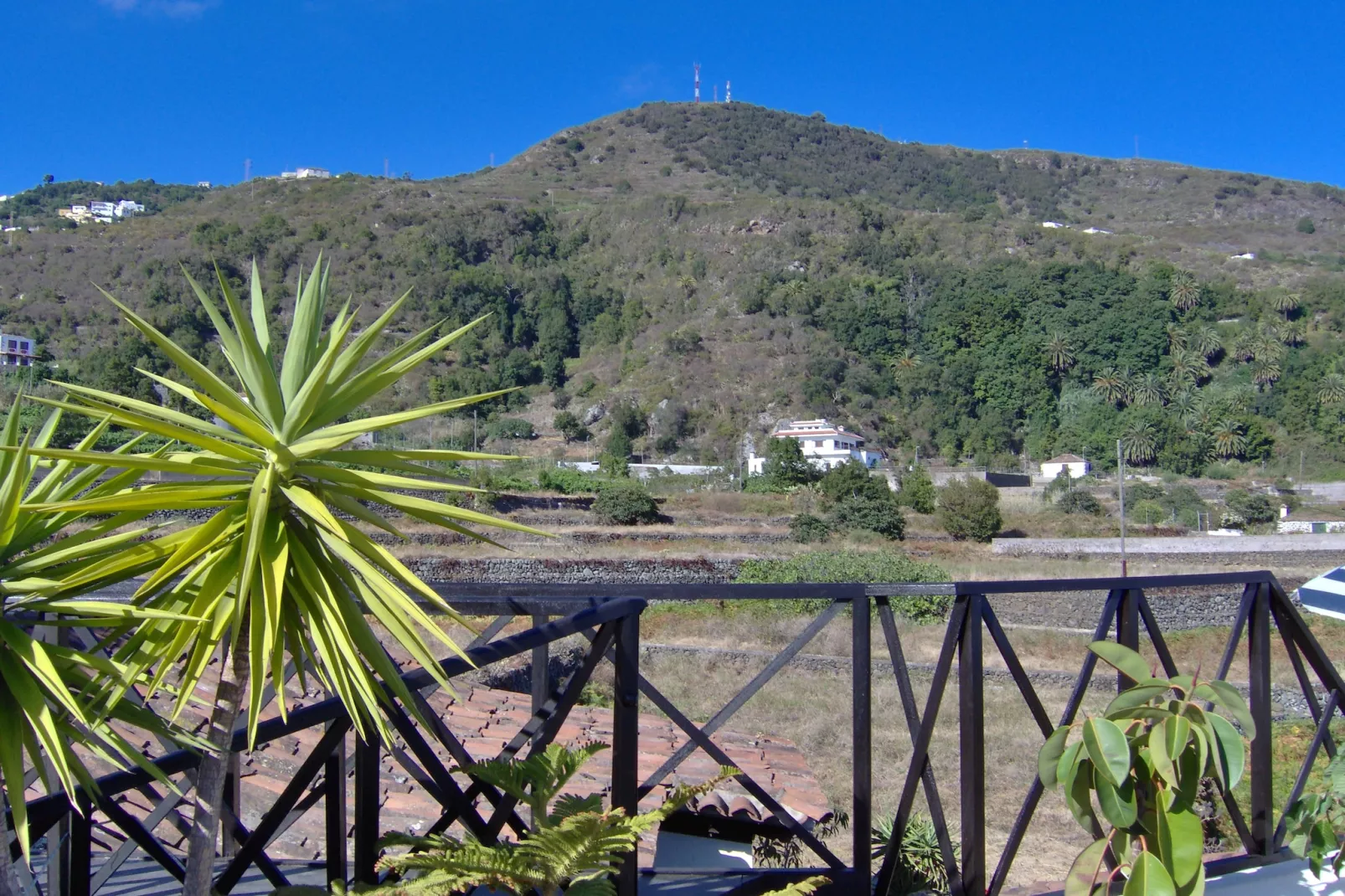 Apartamentos Monasterio de San Antonio 4 - Uitzicht zomer