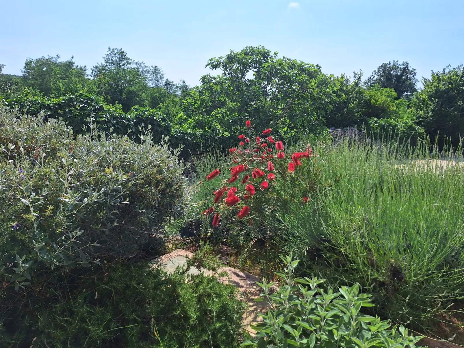 Villa Malini - Buiten