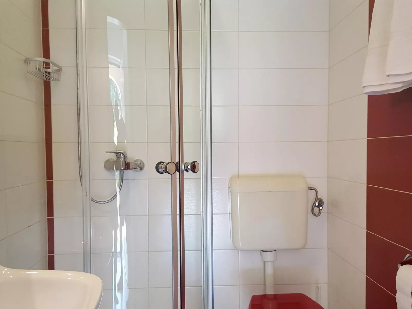 Ginkgo 1 - Image-tags.info