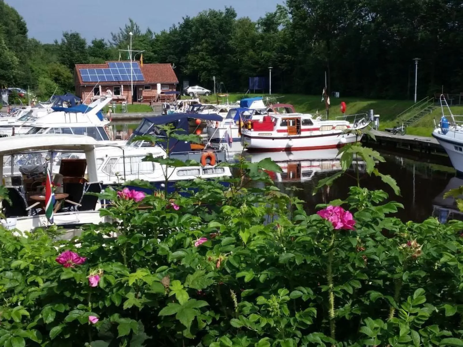 Wohnung in Börgerwald mit Sauna - Buiten