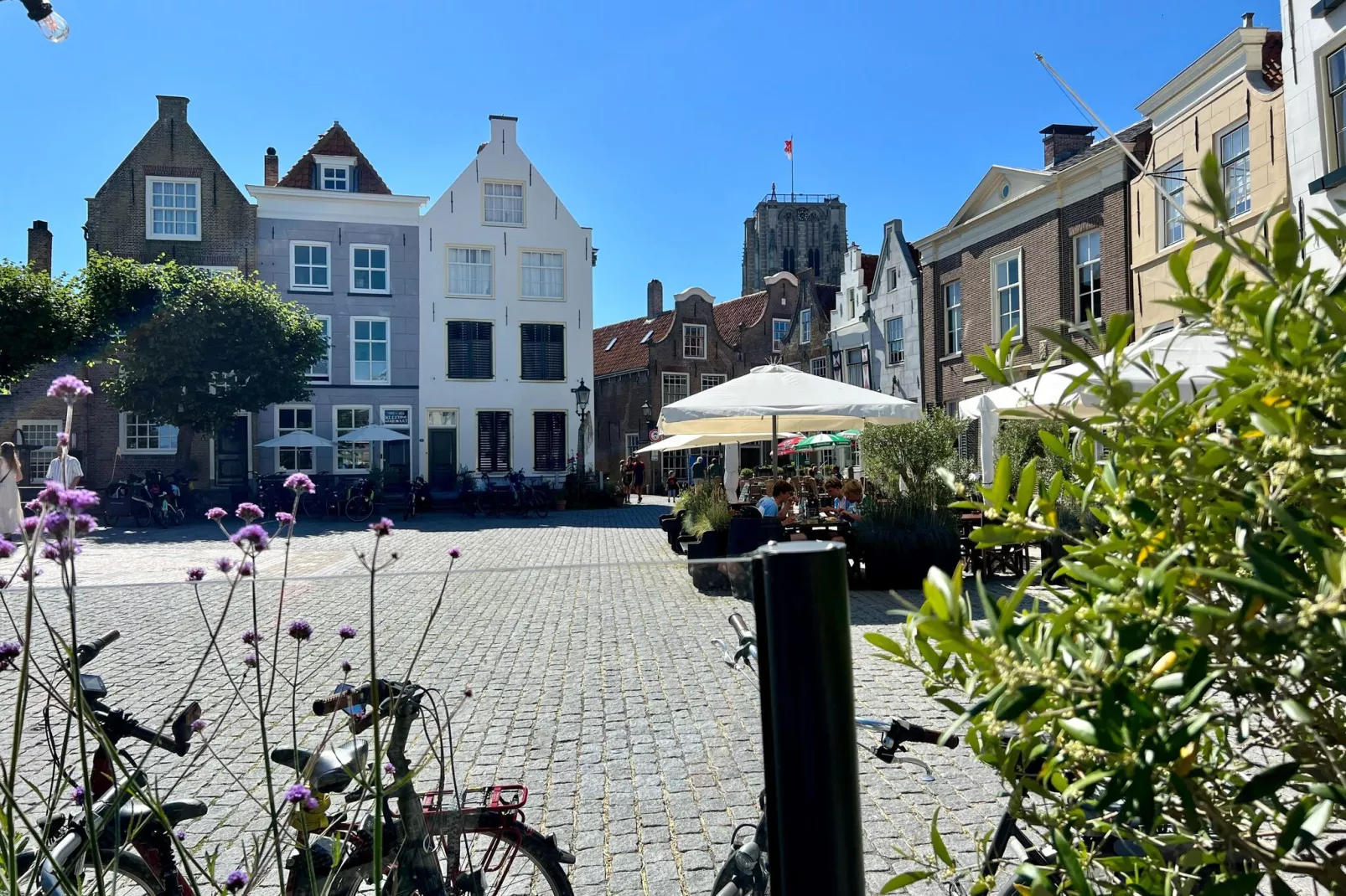 Bij Zee I EB-Gebieden zomer 5km