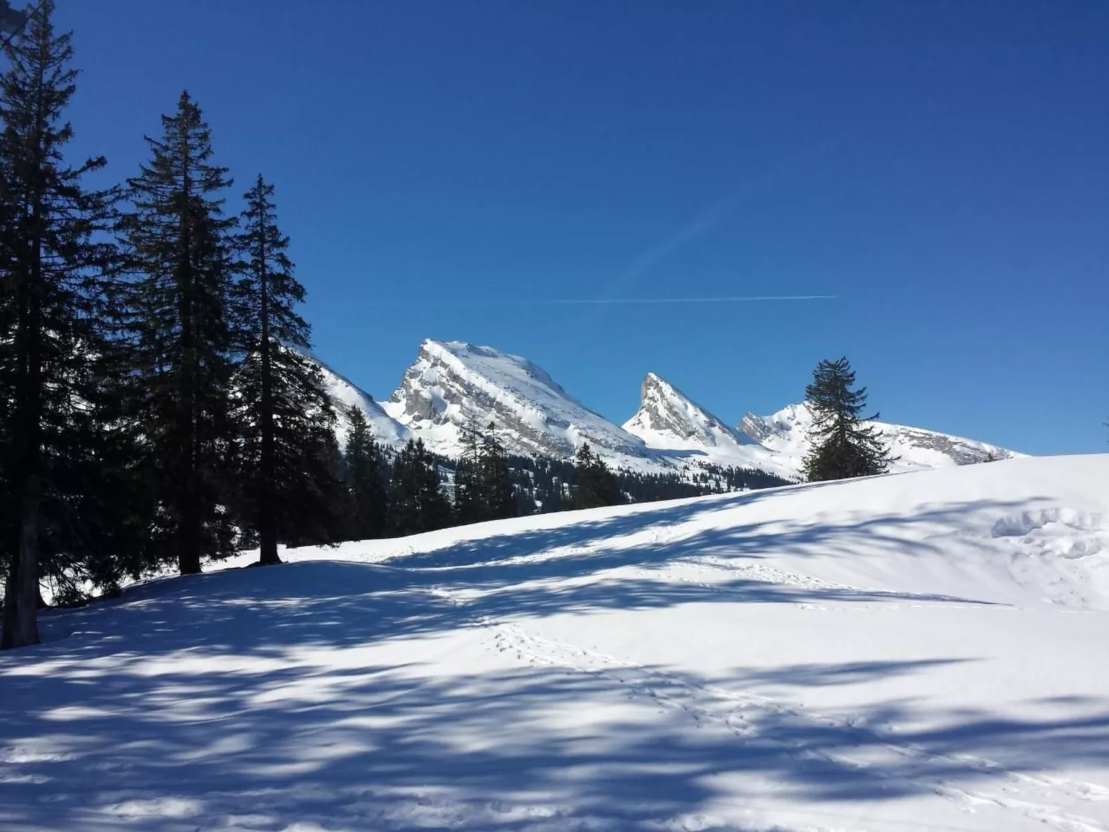 Hof Unterstein - Buiten