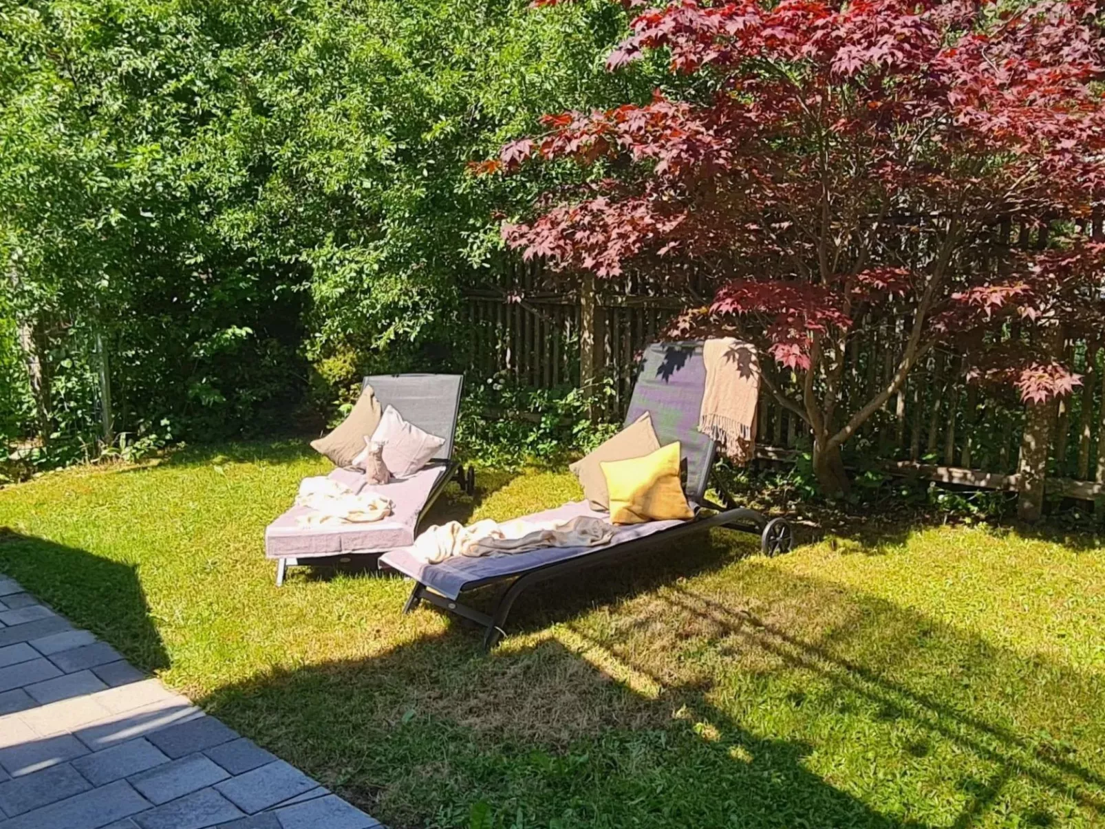 Kraxler Single - Binnen