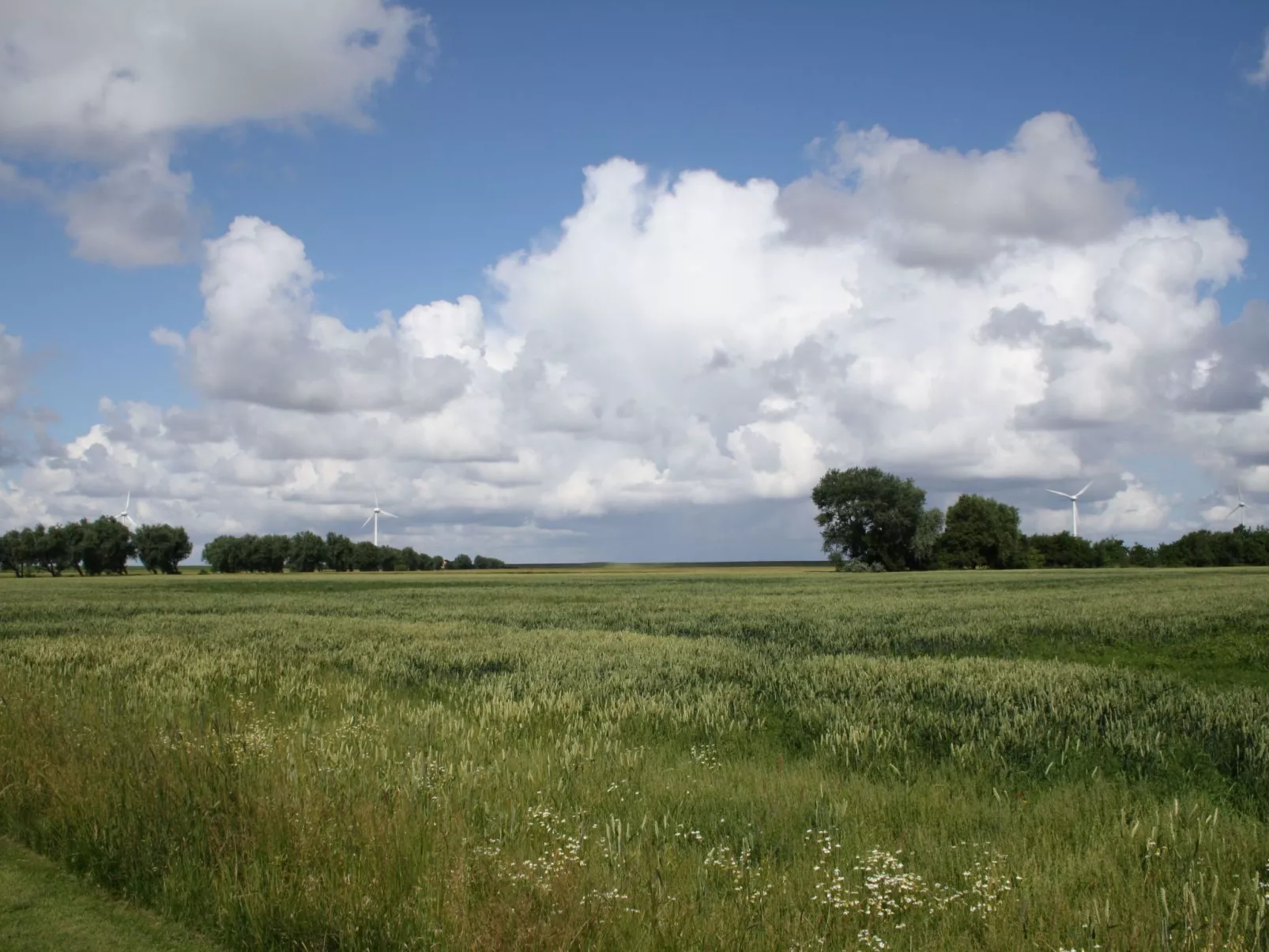 Gästezimmer mit Frühstück im Obergeschoss - Buiten