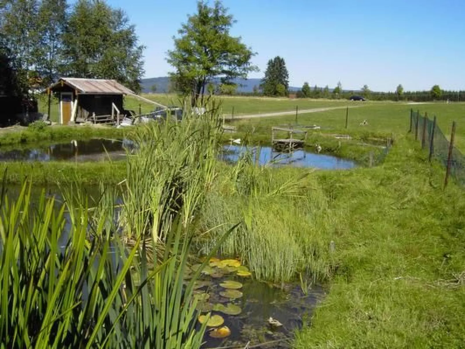 Wohnung in Haidmühle mit Terrasse und Garten - Image-tags.info