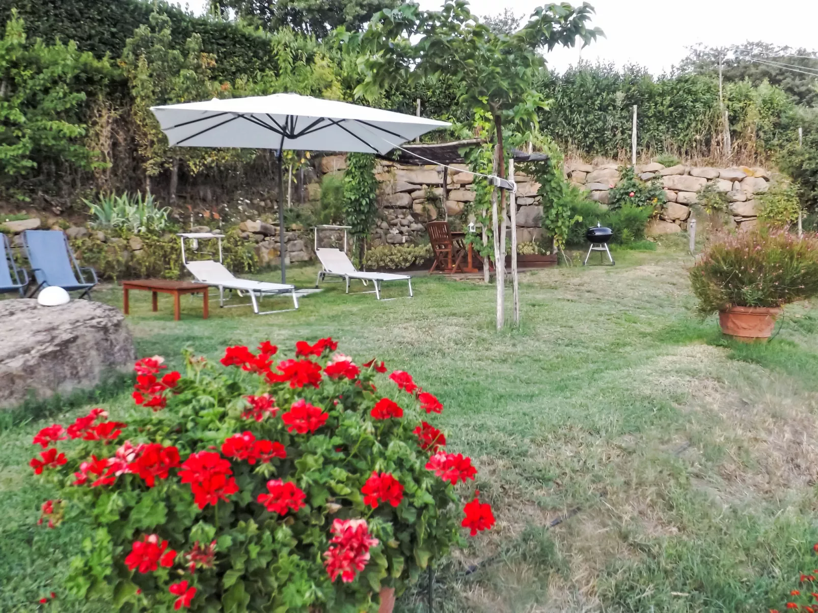 Il canto dei merli - Buiten