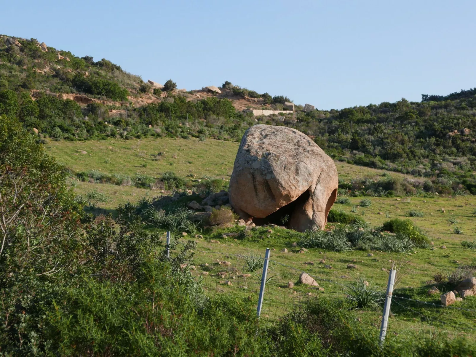 "Cosima" mit Blick auf das Wasser - Buiten