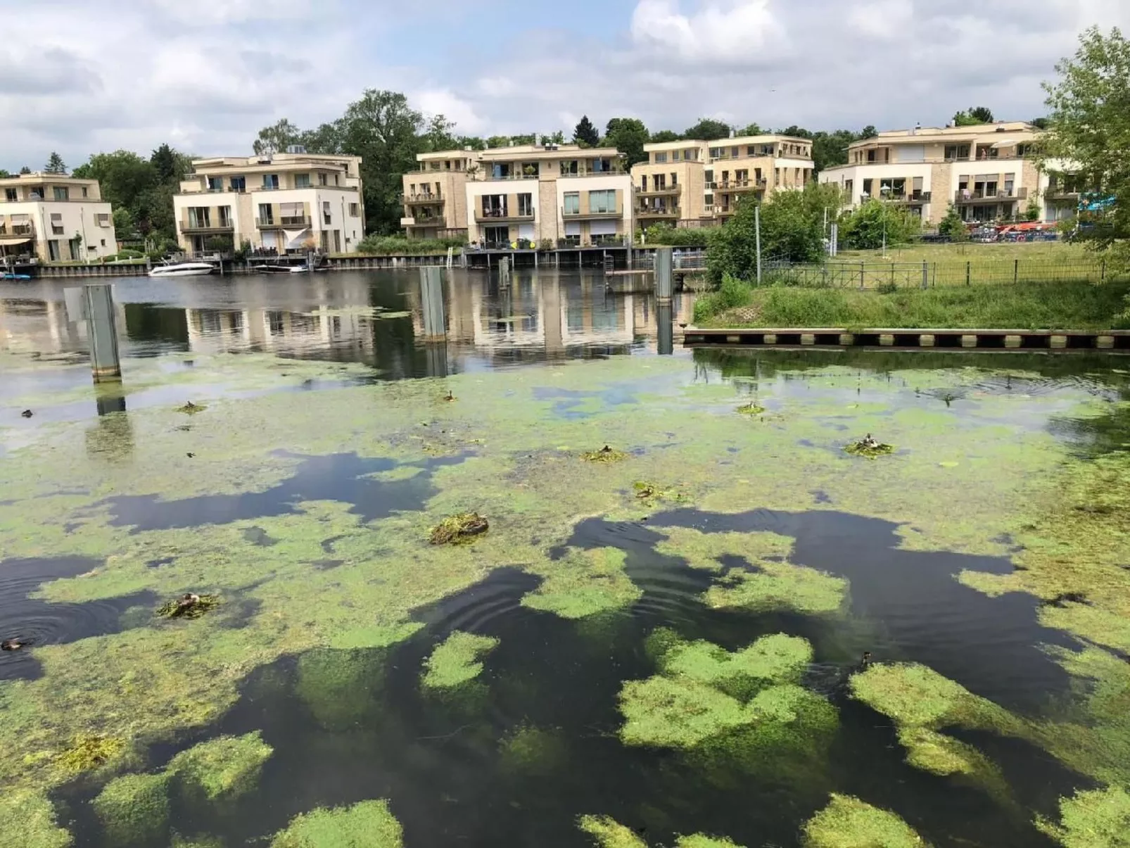 Modernes helles Zimmer im Loft am See - Buiten