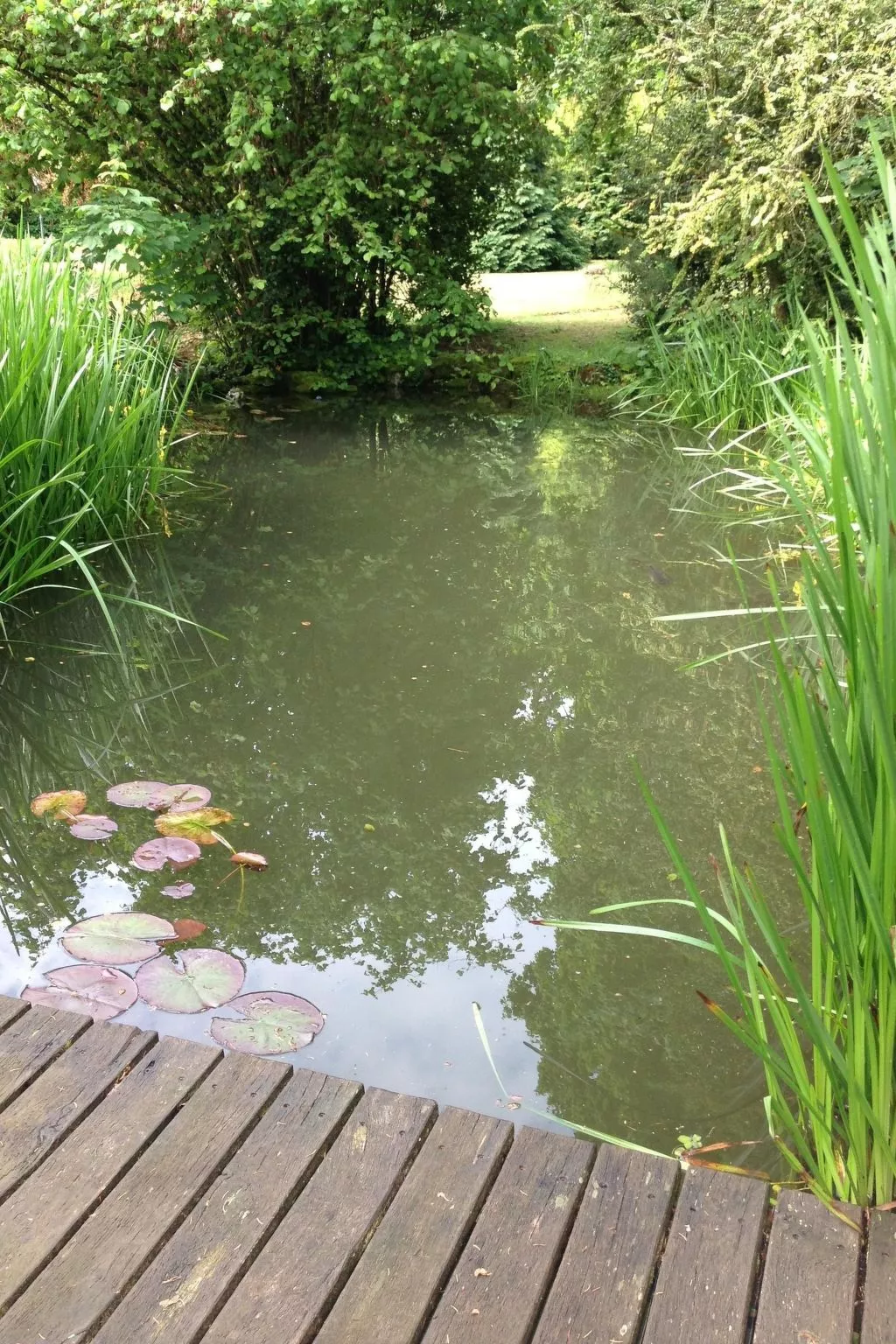 MaisonMazerand    Wohnen - Entspannen - Genießen - Buiten