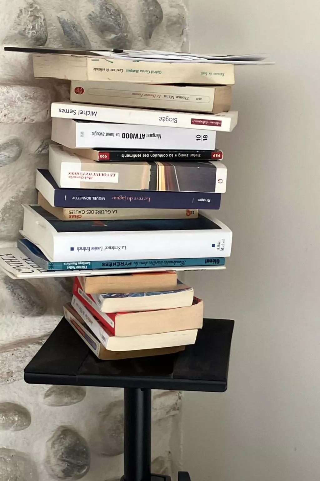 Gästezimmer "Toulousaine arborée". - Buiten