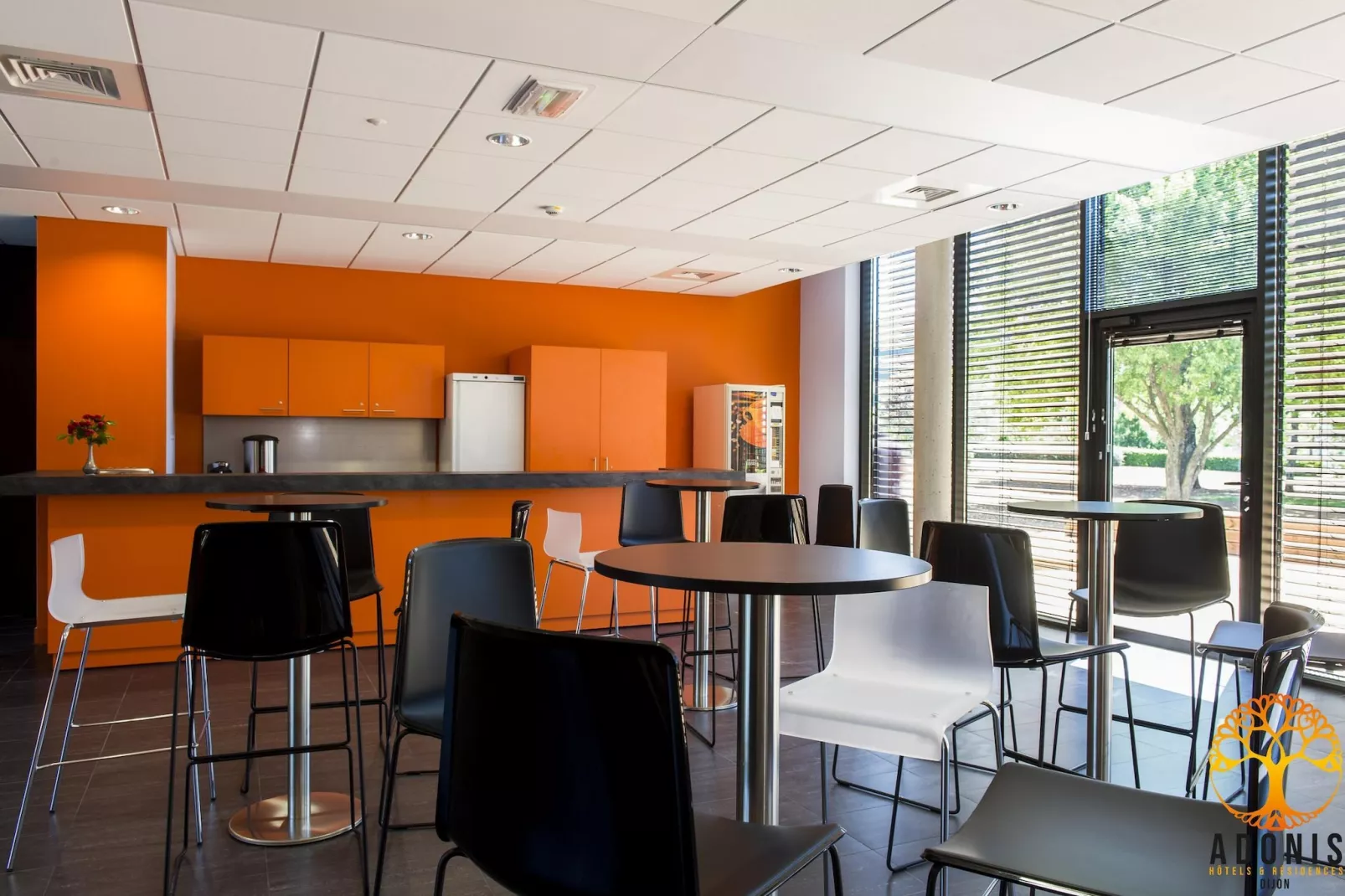 Adonis Dijon single studio - Parkfaciliteiten