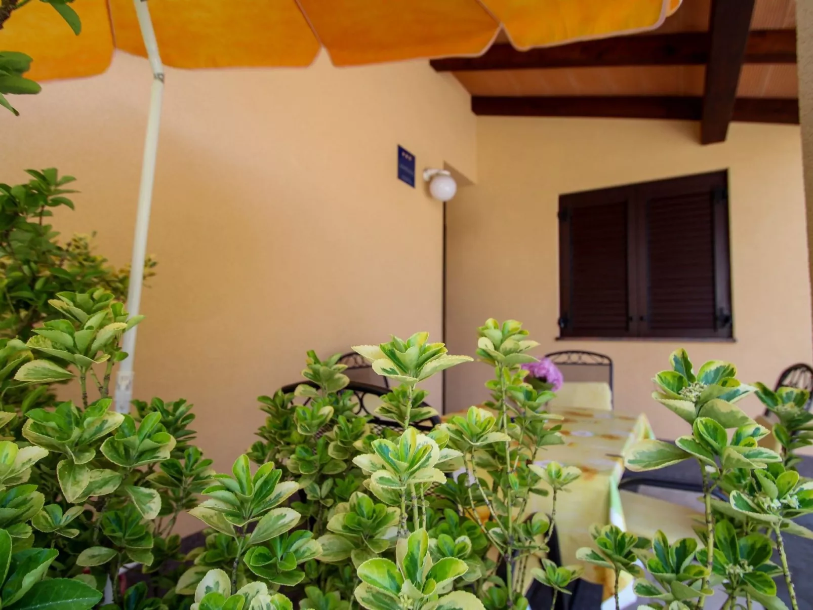 Erdgeschoss-Ferienwohnung Martinis 2 - Binnen