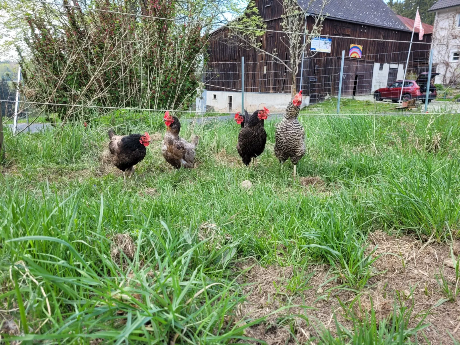 Bubble Übernachtung im Fichtelgebirge - Buiten