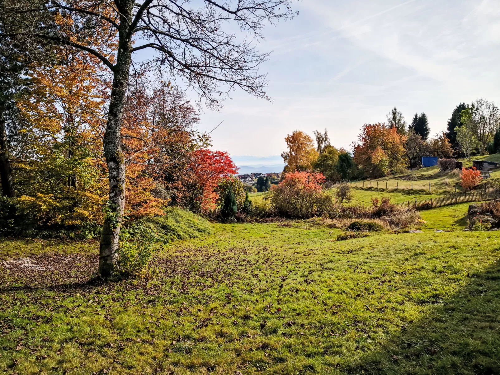 Schwarzwaldhof mit Pool & Sauna - Buiten