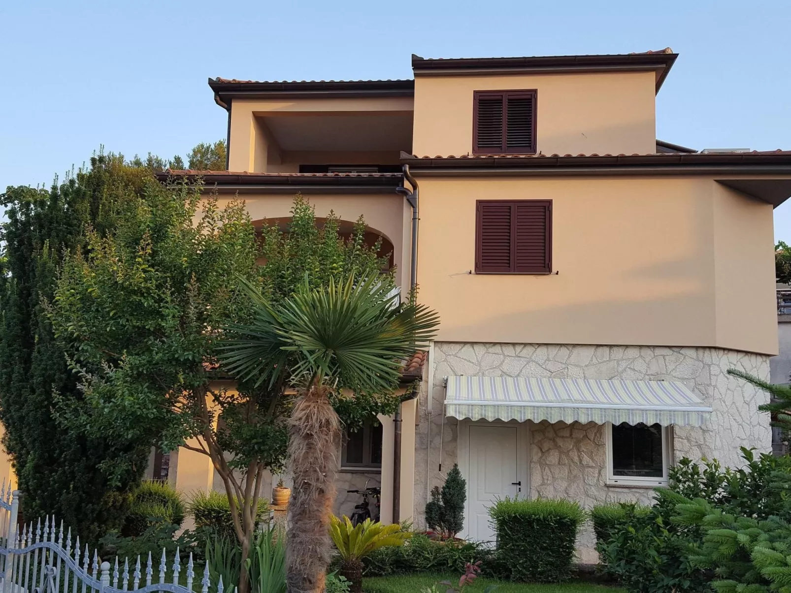 Ginkgo 4 - Image-tags.info