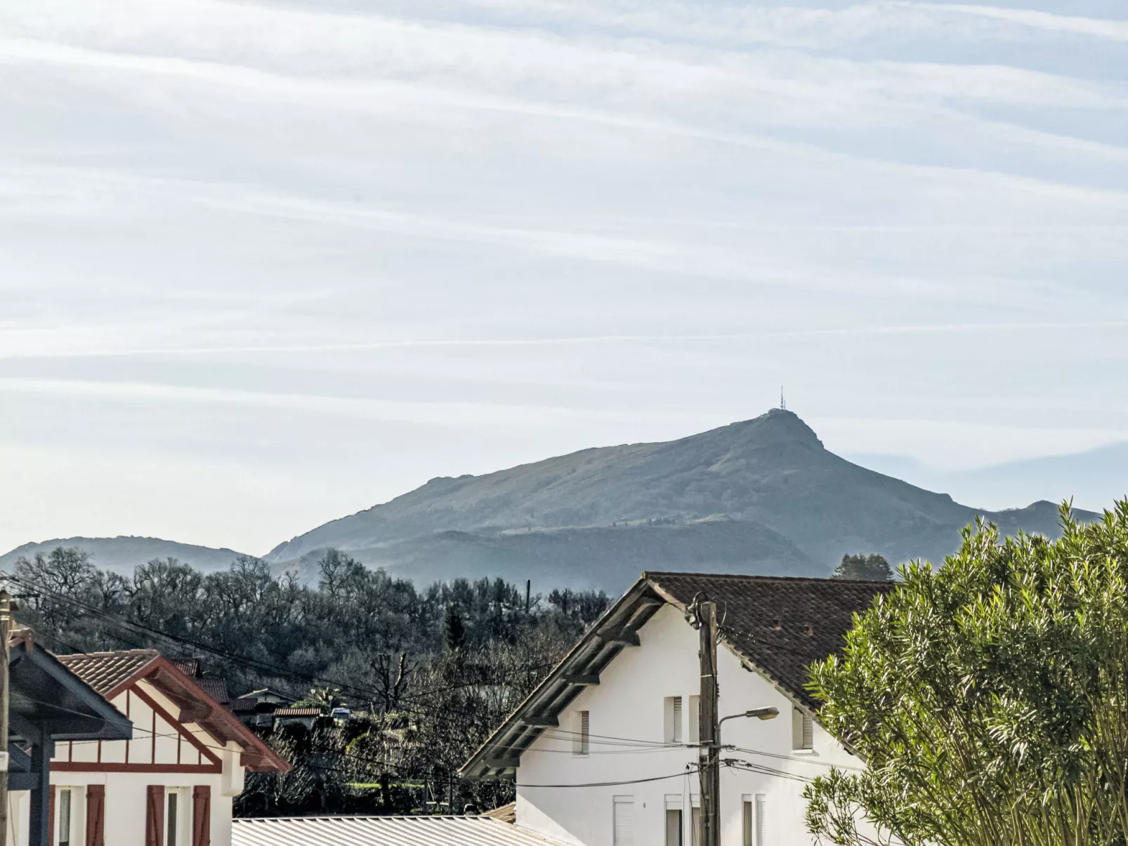 Barasteguia - Buiten