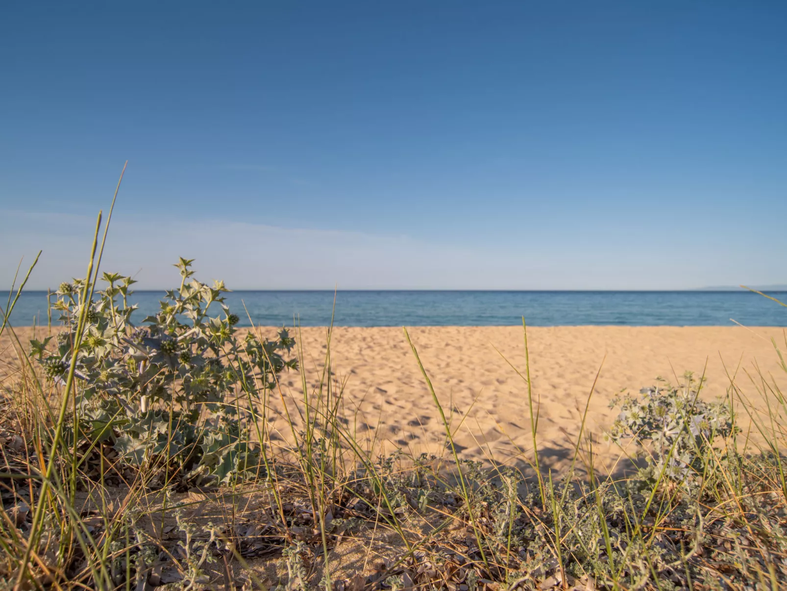 Wunderschönes freistehendes Haus - Omgeving