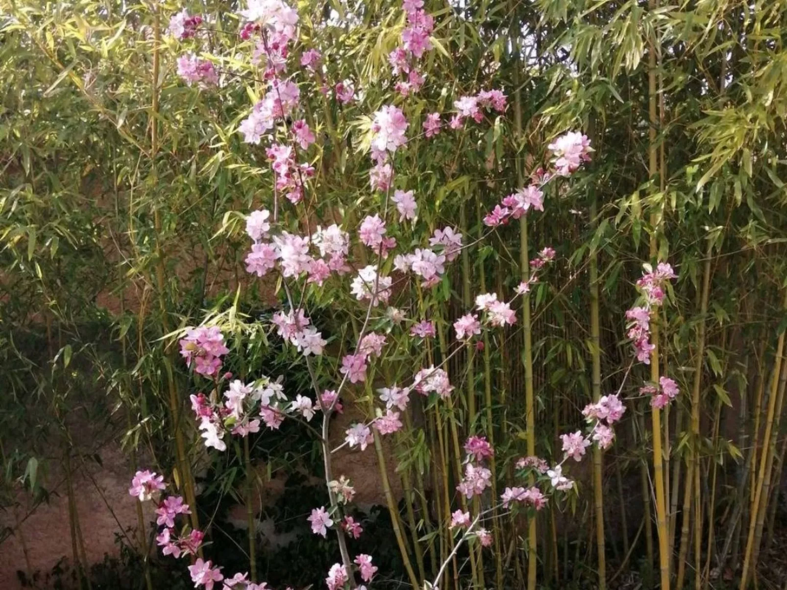 Haus mit Charme Landschaft von Aix - Image-tags.info