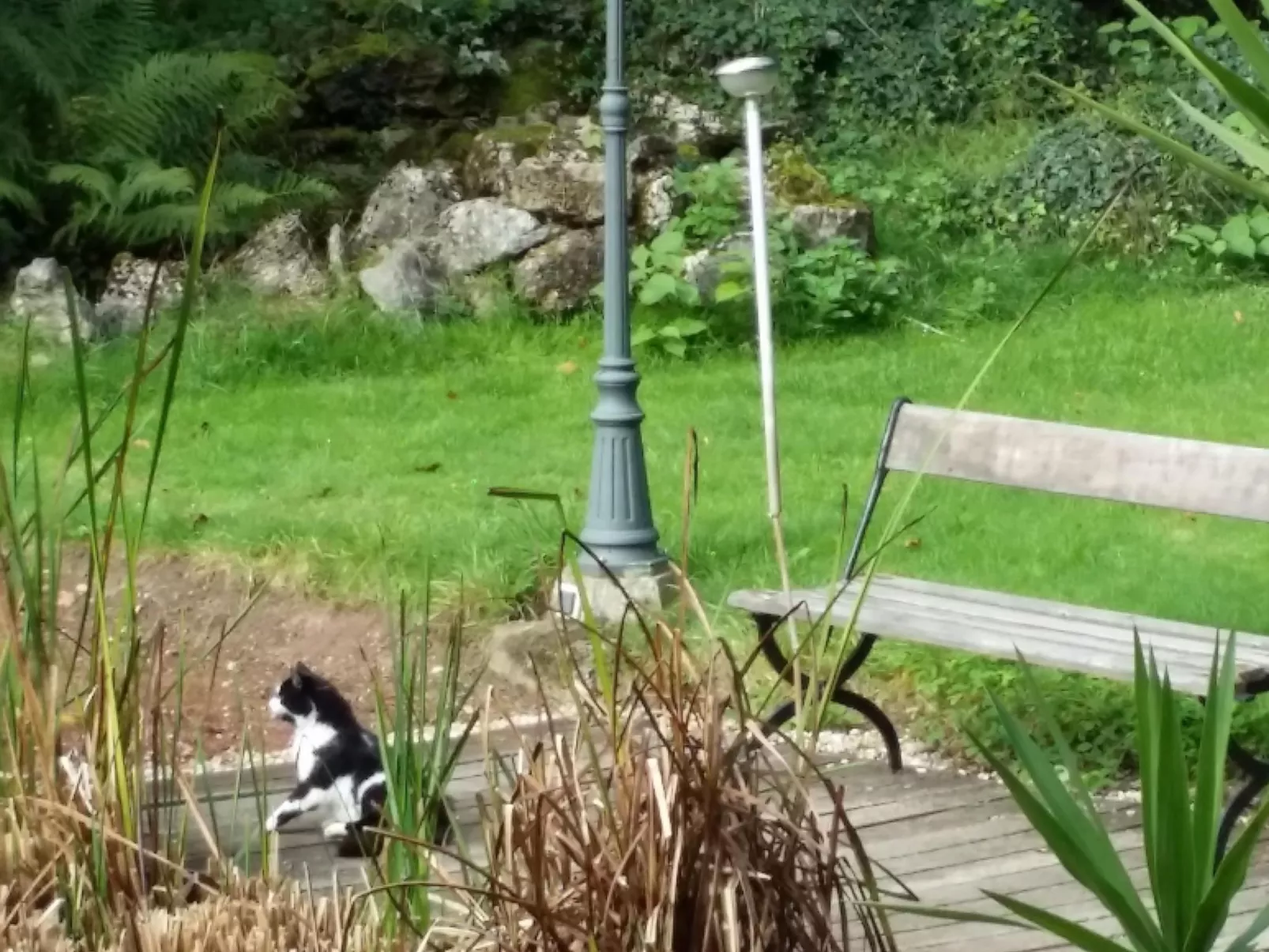 MaisonMazerand    Wohnen - Entspannen - Genießen - Buiten