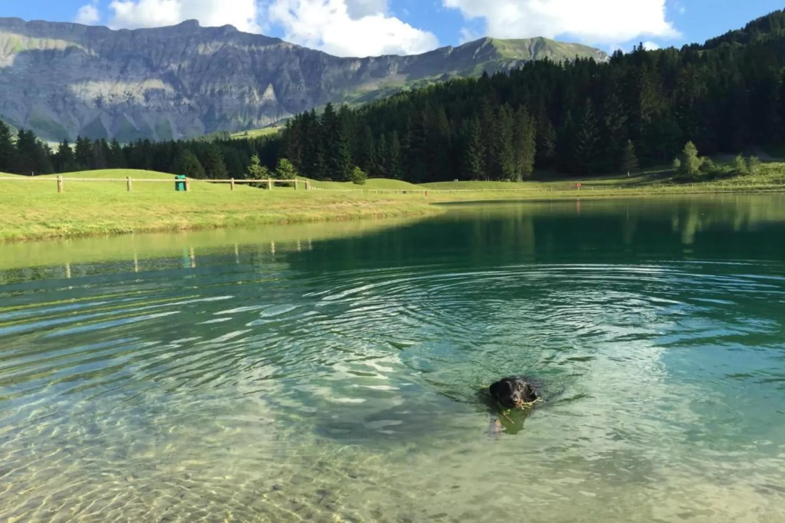 Les Portes de Megève 13 - Gebieden zomer 1km