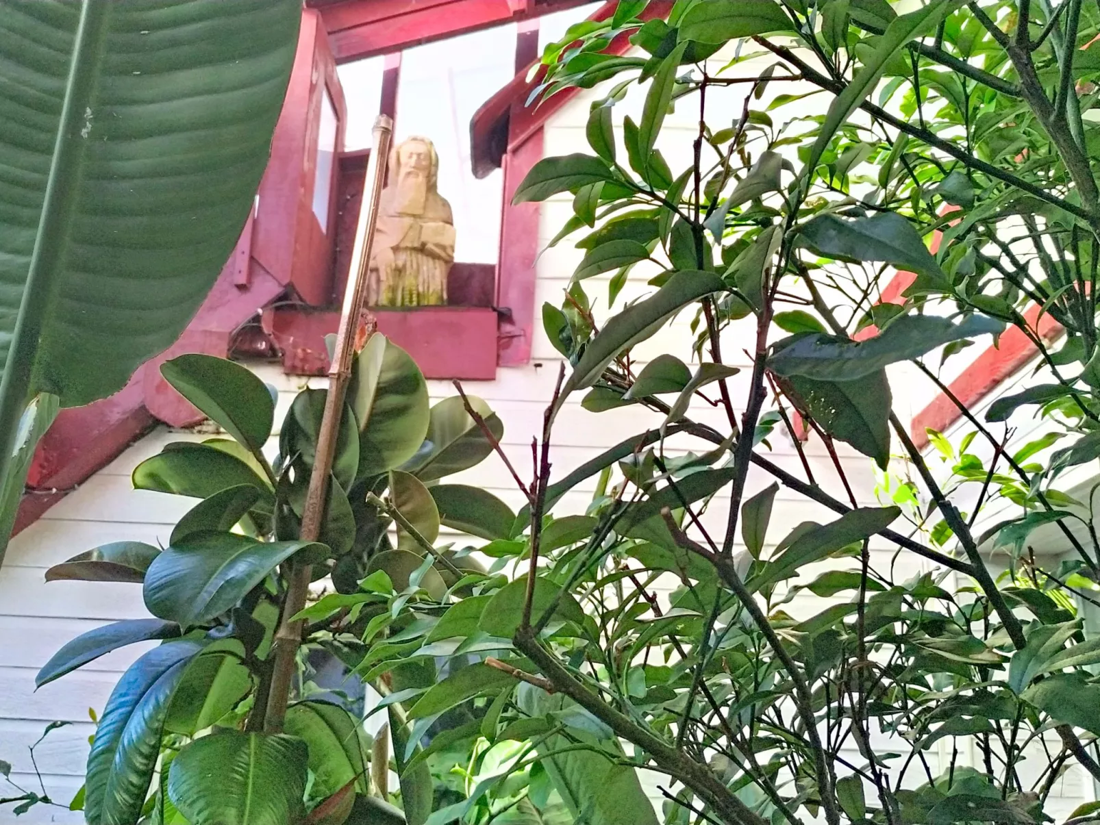 Le Paradis des Fleurs - Buiten