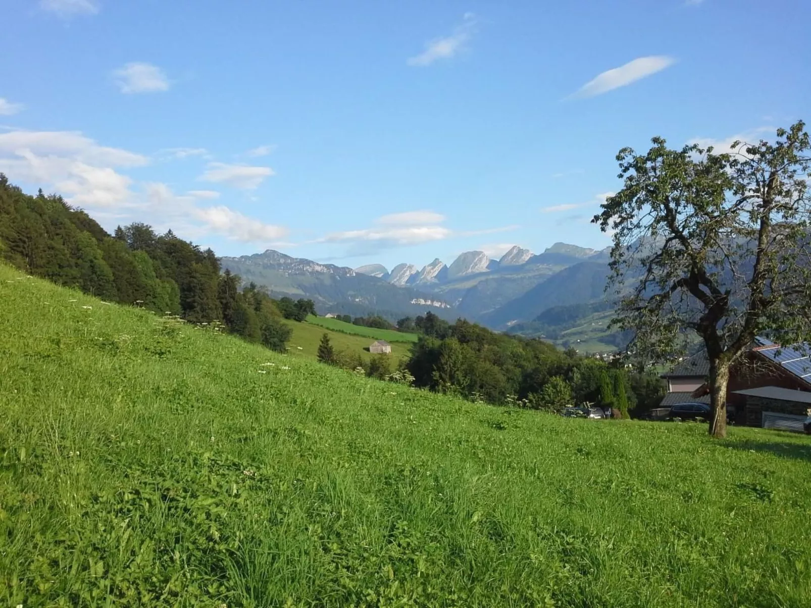 Hof Unterstein - Buiten
