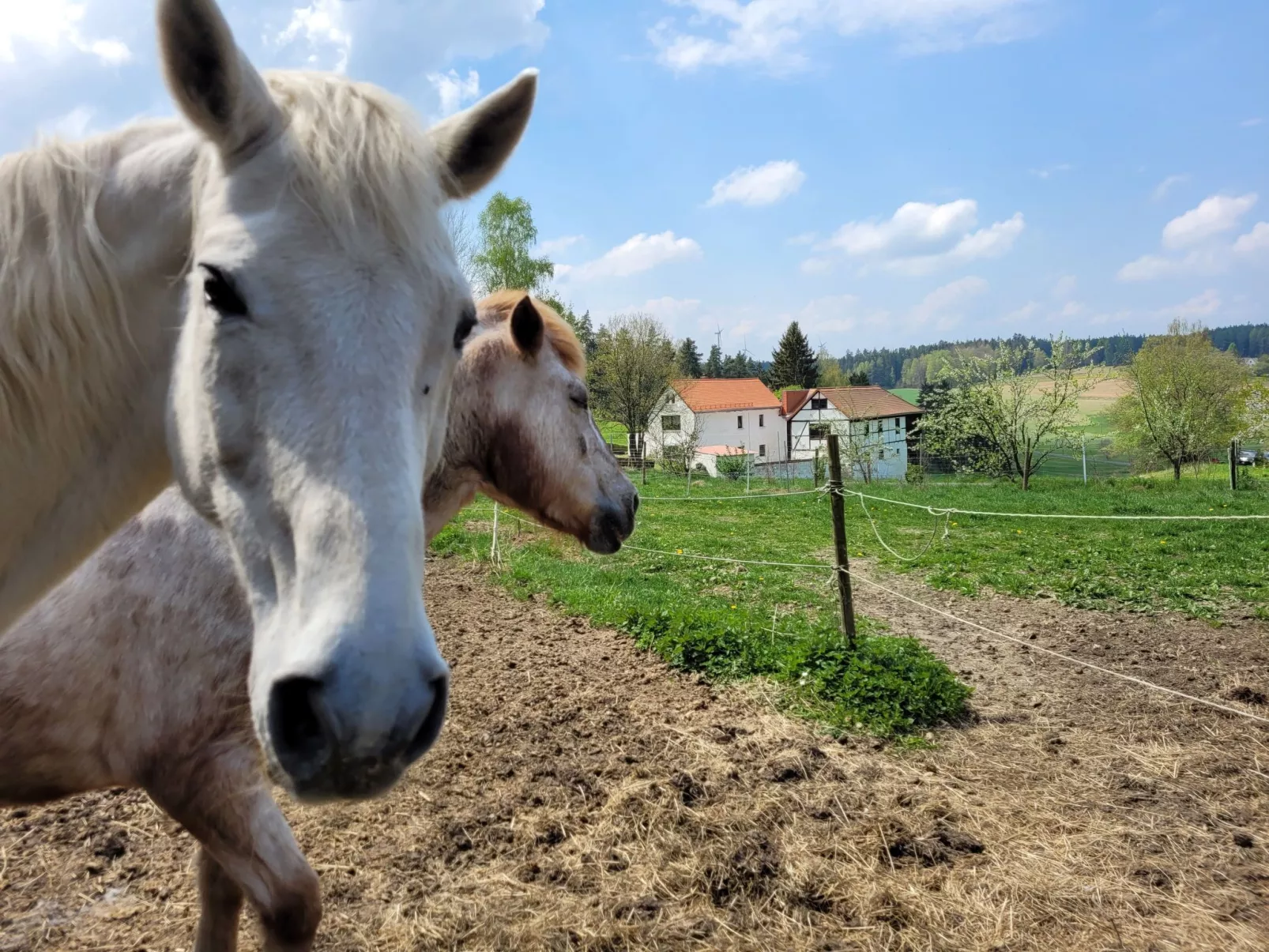 Bubble Übernachtung im Fichtelgebirge - Buiten
