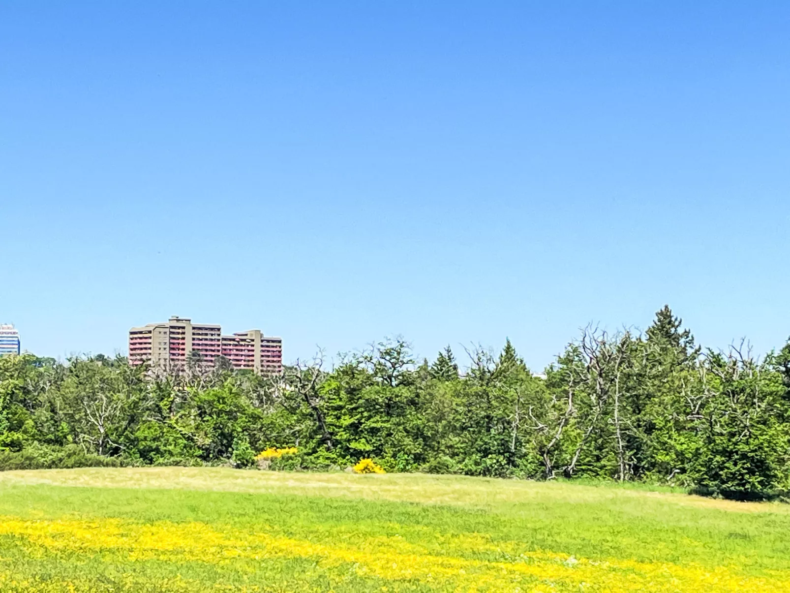 Ferienpark Rhein-Lahn - Buiten