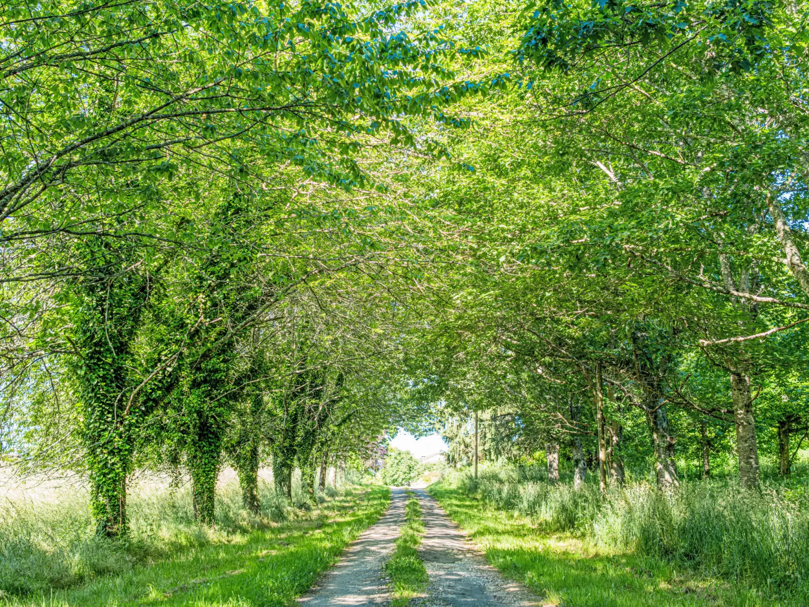 Gites de la Goujatte - Buiten