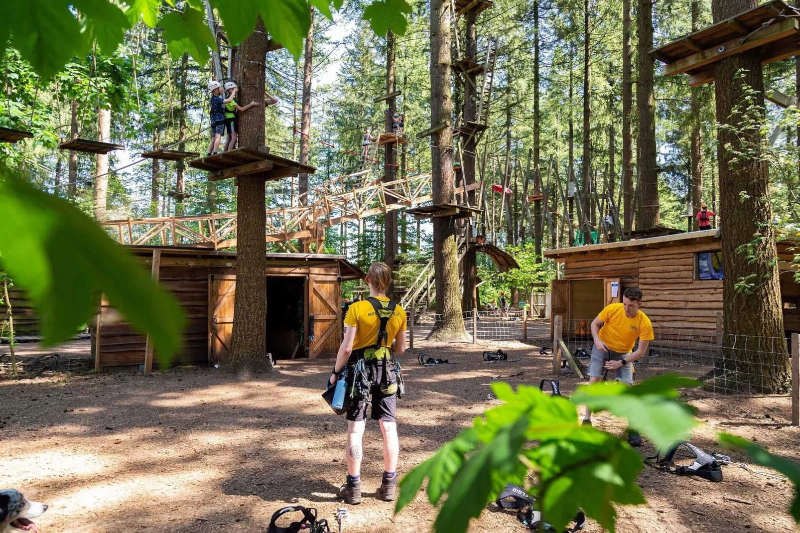 Resort Veluwe 8-Gebieden zomer 5km