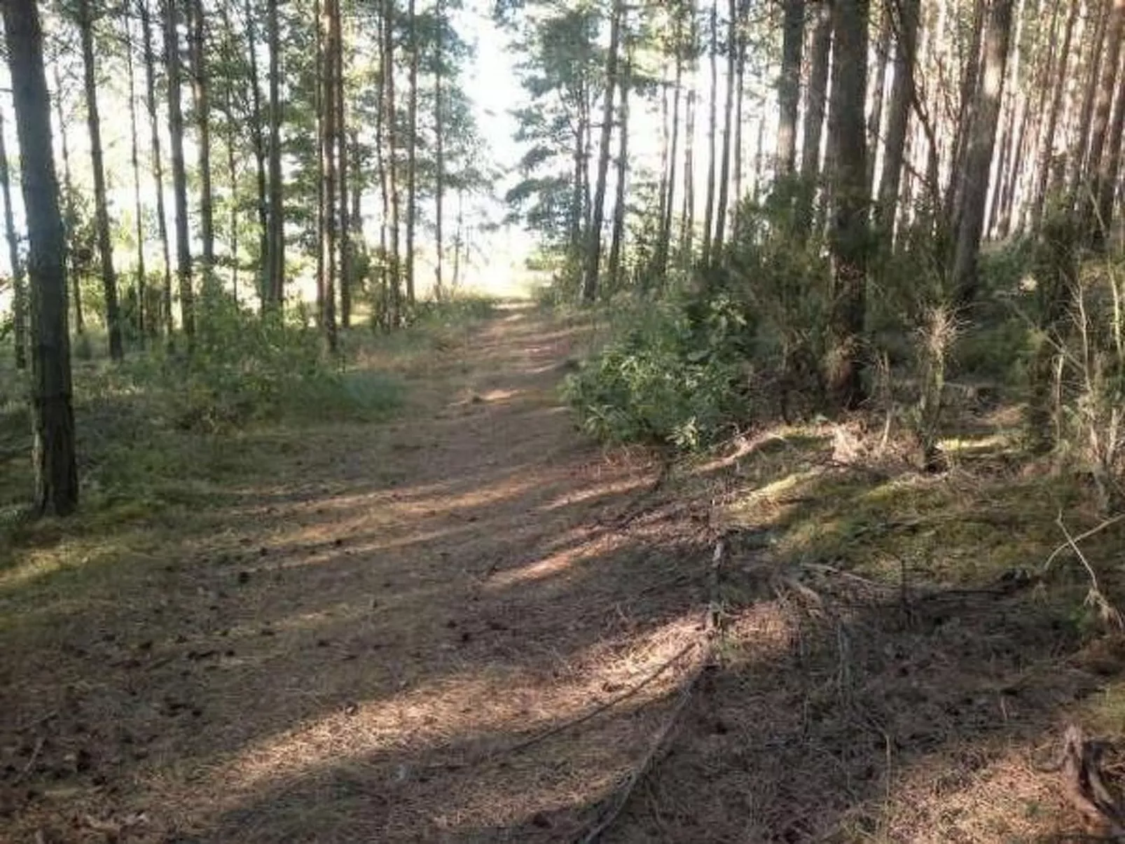 Freistehendes Haus mit eingezäuntem Grundstück an einer Lagune - Buiten
