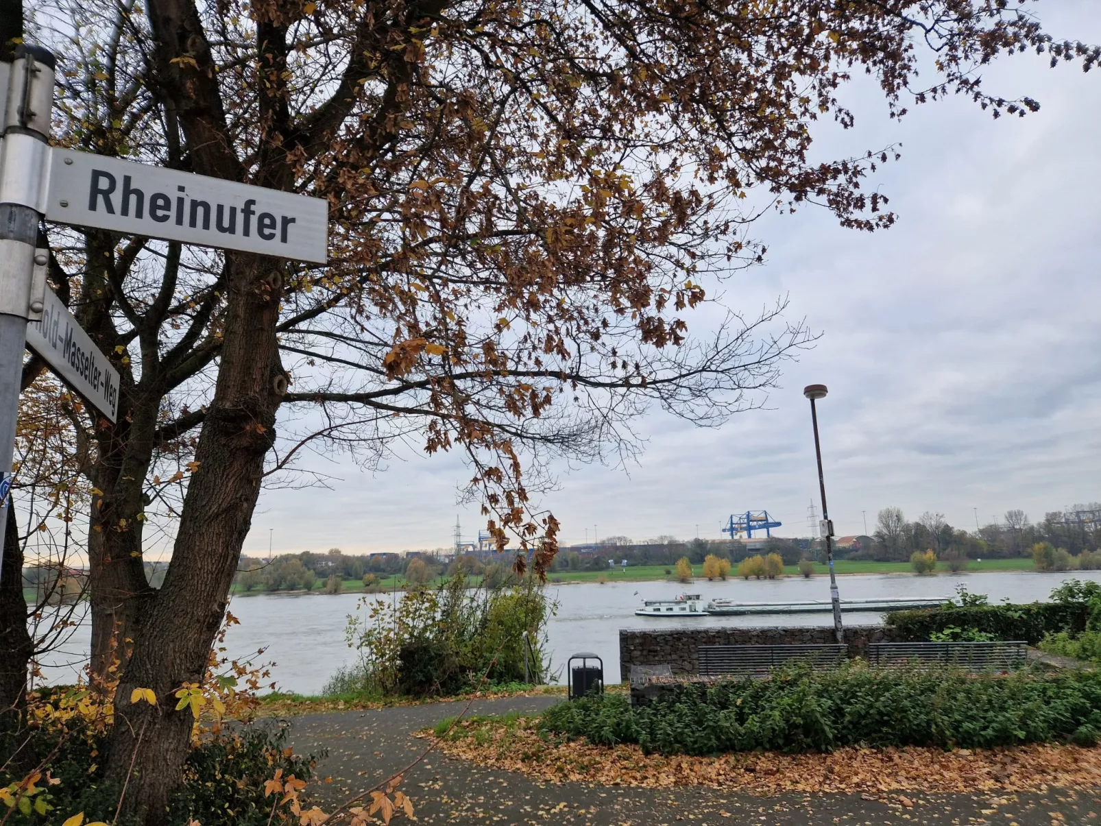 Fewo am Rhein - Buiten