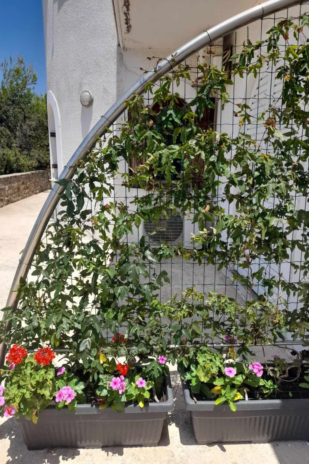 Charly Point Villa-Apartment, Doppelzimmer - Buiten