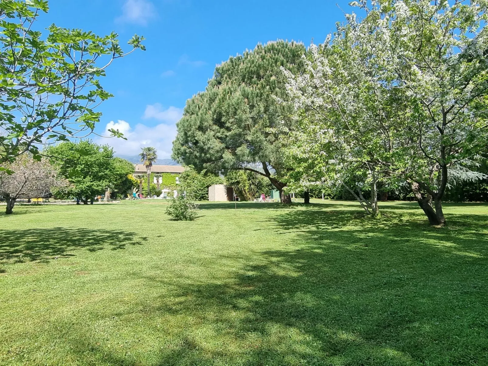 Exklusivität Korsika, Steinhaus mit Charme - Image-tags.info