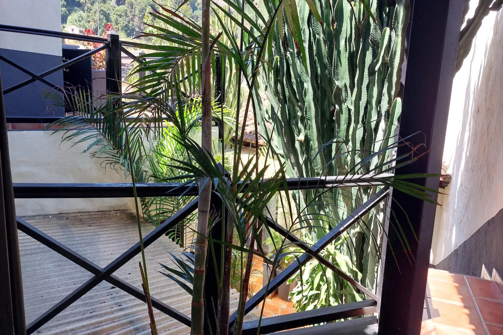 Apartamentos Monasterio de San Antonio 5 - Terrasbalkon