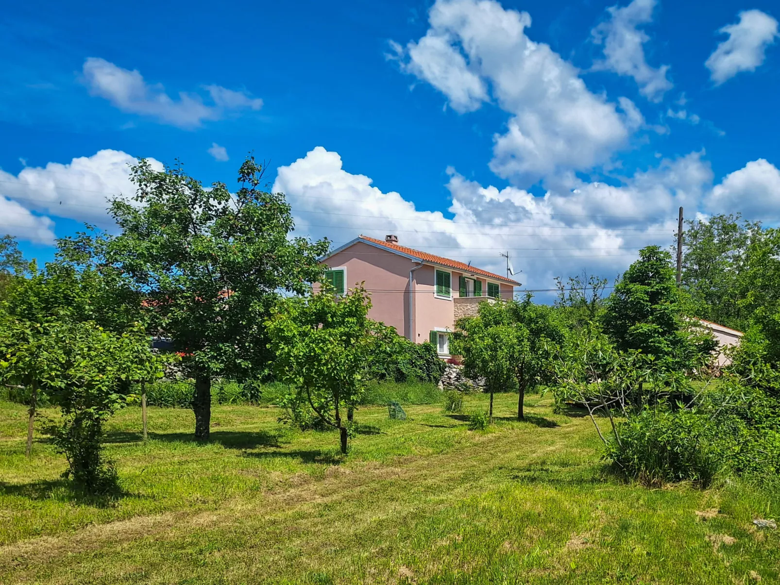 Villa Malini - Buiten