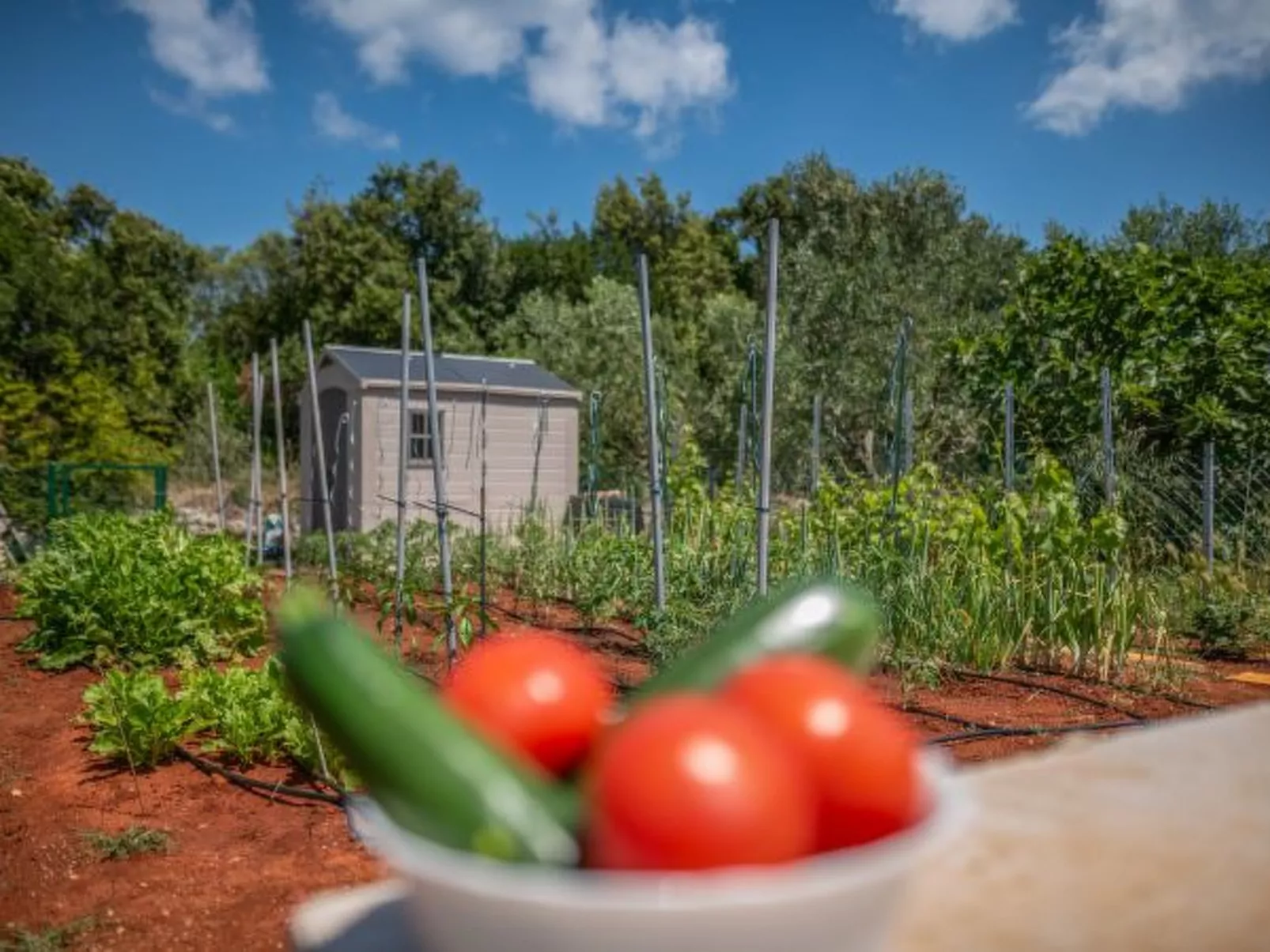 Apartment Varos 2+1 with shared pool - Image-tags.info